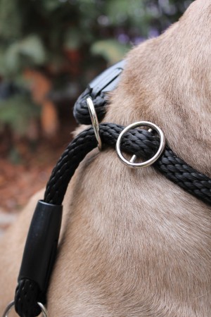 Polostahovací obojek s nastavitelnou velikostí